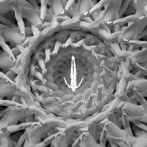 中国美女大屁股肥逼逼操的爽死有多少岁
