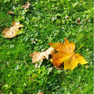 中国美女大屁股肥逼逼操的爽死有多少岁
